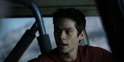 Cartel de Codominance