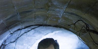 Cartel de The Waking Dream