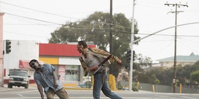 Cartel de Paseo en trineo