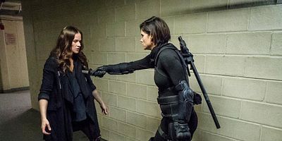 Cartel de Veritas Vincit