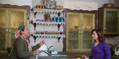 Cartel de Aşk ve Mavi 43.Bölüm