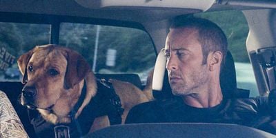 Cartel de Ka Hopu Nui 'Ana