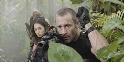 Cartel de He pūkoʻa kani ʻāina