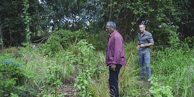 Cartel de Aohe mea make i ka hewa; make no i ka mihi ole