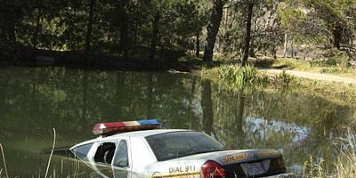 Cartel de Sight Unseen