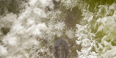 Cartel de The Honeymoon