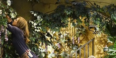 Cartel de A Taco Bowl and a Tubby Seamstress