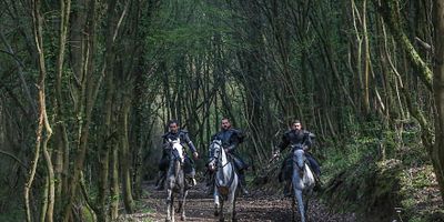 Cartel de Diriliş Ertuğrul 114.Bölüm