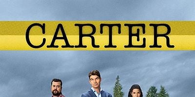 Cartel de Harley Wears A Wig