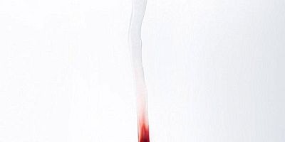 Cartel de La principessa delle piscine