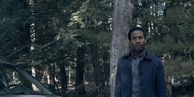 Cartel de Local Color