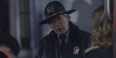 Cartel de Past Perfect