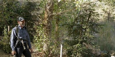 Cartel de Third Wheel