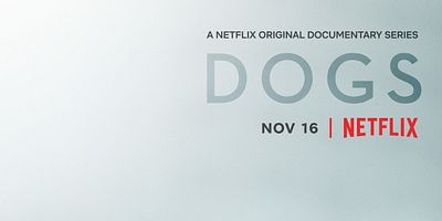 Cartel de Much Ado About Blue