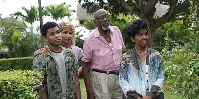 Cartel de Lele Pu Na Manu Like