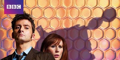 Cartel de Compañeros de delitos