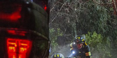 Cartel de Hen Begins