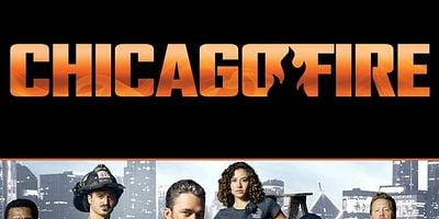 Cartel de When Tortoises Fly