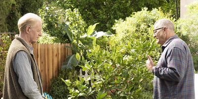 Cartel de Echando raíces