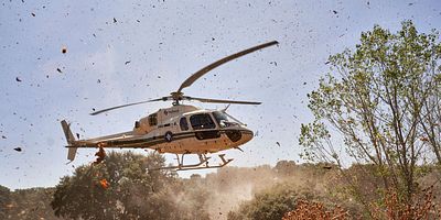 Cartel de Tiempo cero