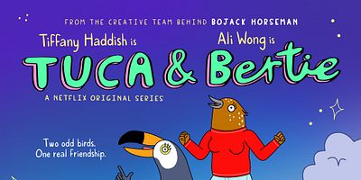 Cartel de Bird Mechanics