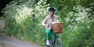 Cartel de Agatha Raisin and the Fairies of Fryfam