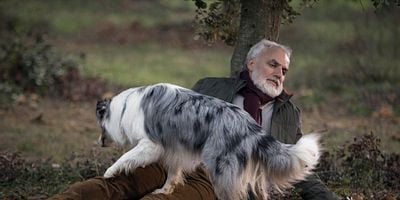 Cartel de Diamant noir