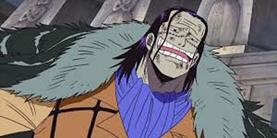 Cartel de Wanippoi ! Ōke no haka e hashire Luffy !