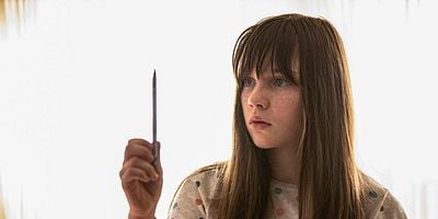 Cartel de Camera Wheelbarrow Tiger Pillow