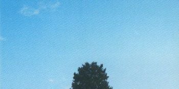 Cartel de Los ojos de algún otro