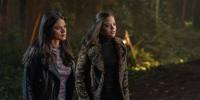 Cartel de The Truth about Kat and Dogs