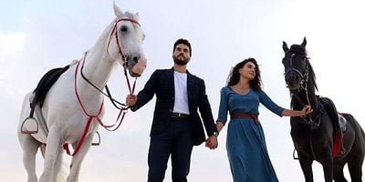 Cartel de Hercai 19.Bölüm