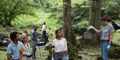 Cartel de Forêt de Reculée