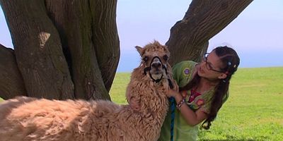 Cartel de People Auction