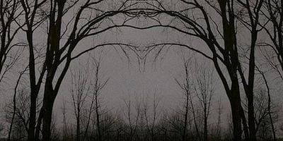 Cartel de Dark Uncle