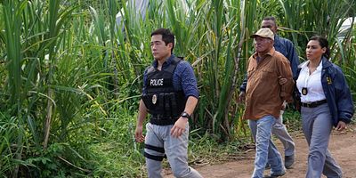 Cartel de Blood Brothers