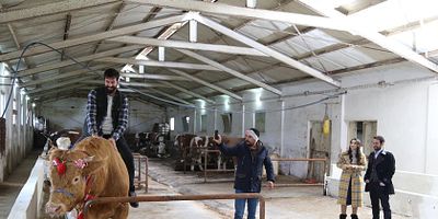 Cartel de Kuzey Yıldızı İlk Aşk 13.Bölüm