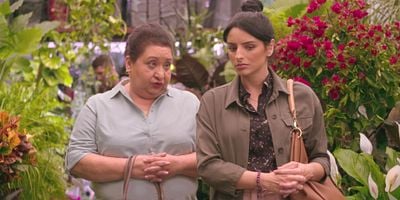 Cartel de DAHLIA (symb. gratitude)