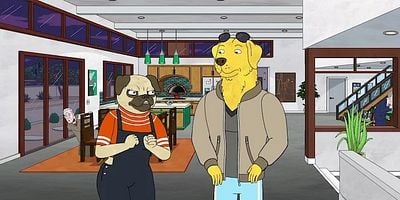 Cartel de Surprise !