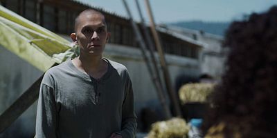 Cartel de Cuatro tumbas