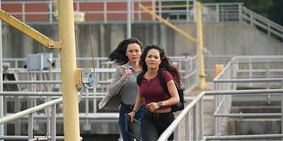 Cartel de Fire + Ashes + Legacy = Phoenix