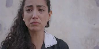 Cartel de El infiltrado