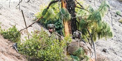 Cartel de Rules of Engagement