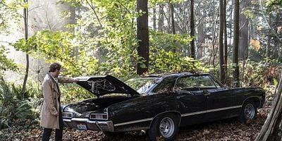 Cartel de Zari, Not Zari