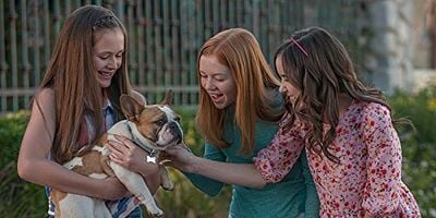 Cartel de Just Add Dogs