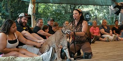 Cartel de Cult of Personality