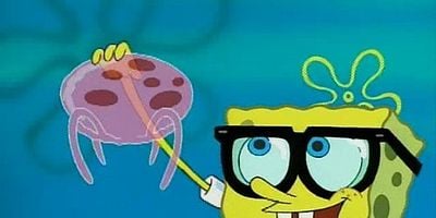 Cartel de Procrastinación/Estoy con el estúpido