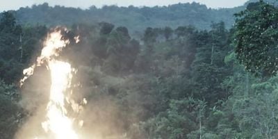 Cartel de Dolorosa realidad