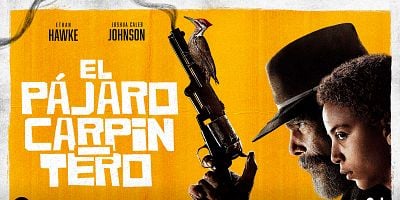 Cartel de A Wicked Plot