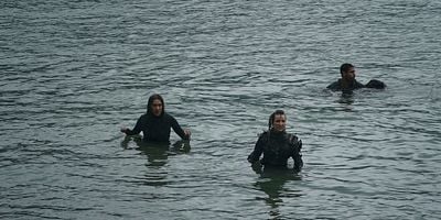 Cartel de The Garden